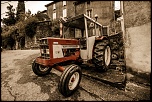 300d-_mg_8370-2_dxo.jpg