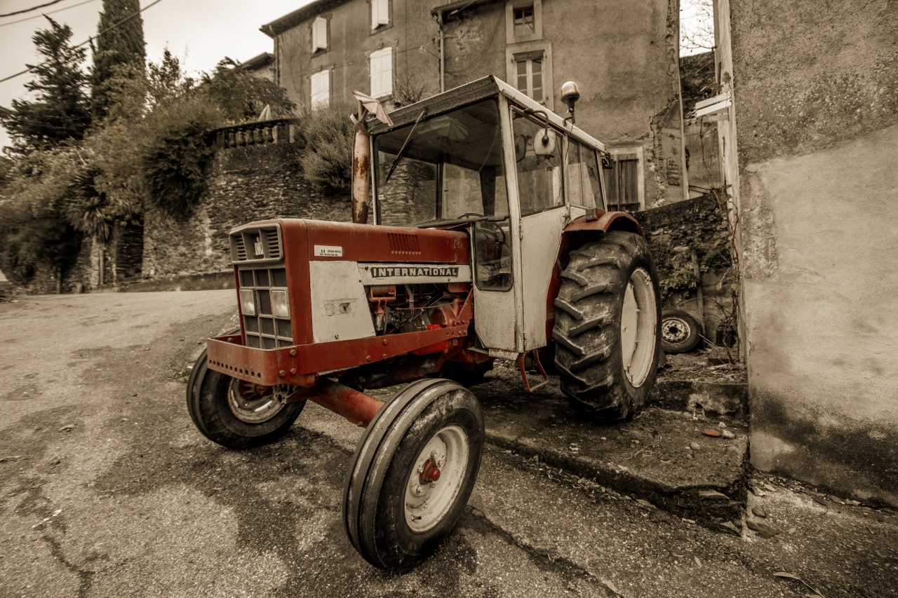 300d-_mg_8370-4_dxo.jpg