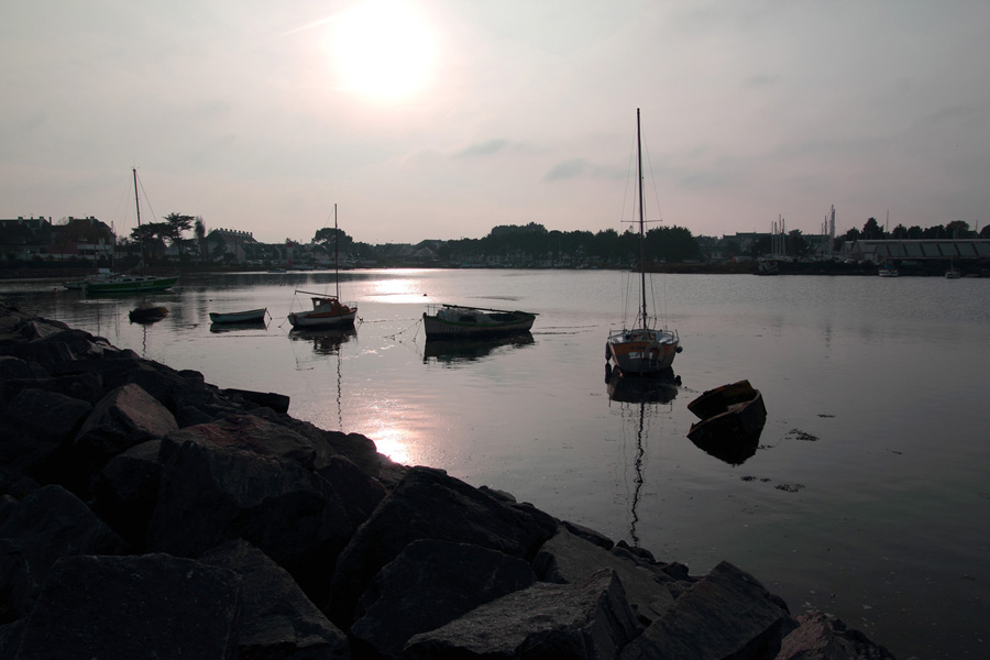 -img_4830.jpg