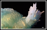 Minraux 008