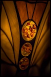 Nouveau venu-img_8580-2.jpg