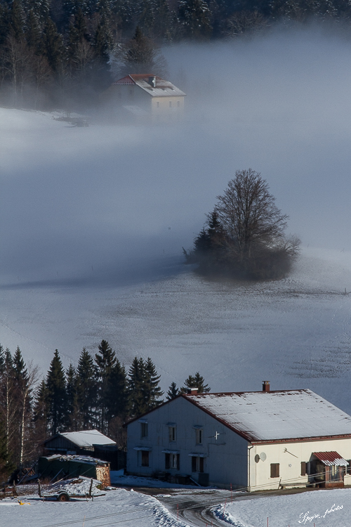 -23022014-0214-rousses_2014-039.jpg