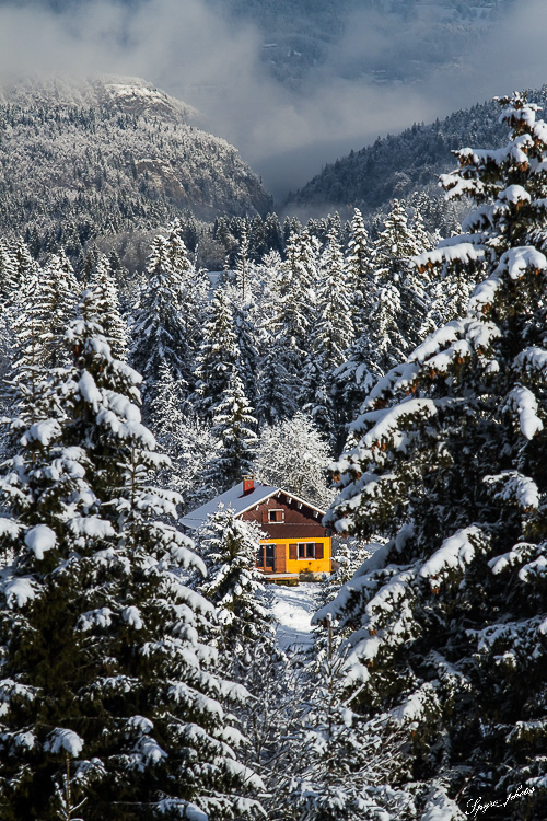 -27022014-0214-rousses_2014-328.jpg