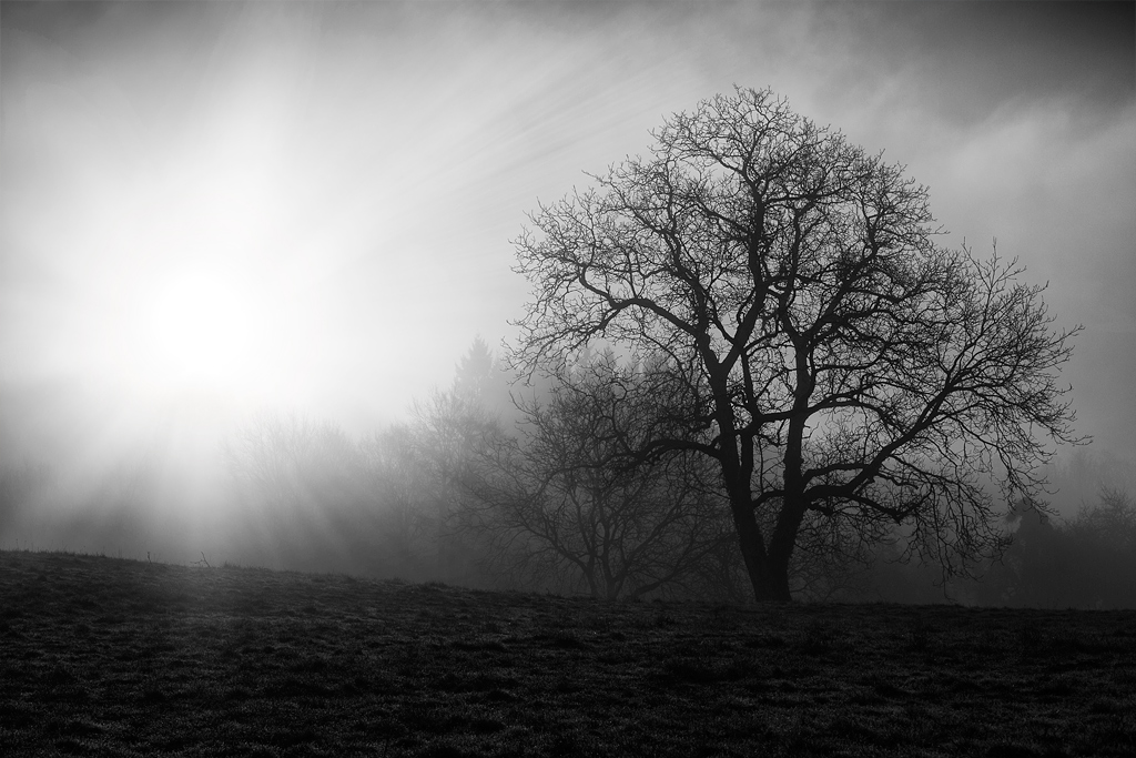 UN AUTRE LIEN PHOTOSHOP TRES INTERESSANT-5d3_1349_1024.jpg