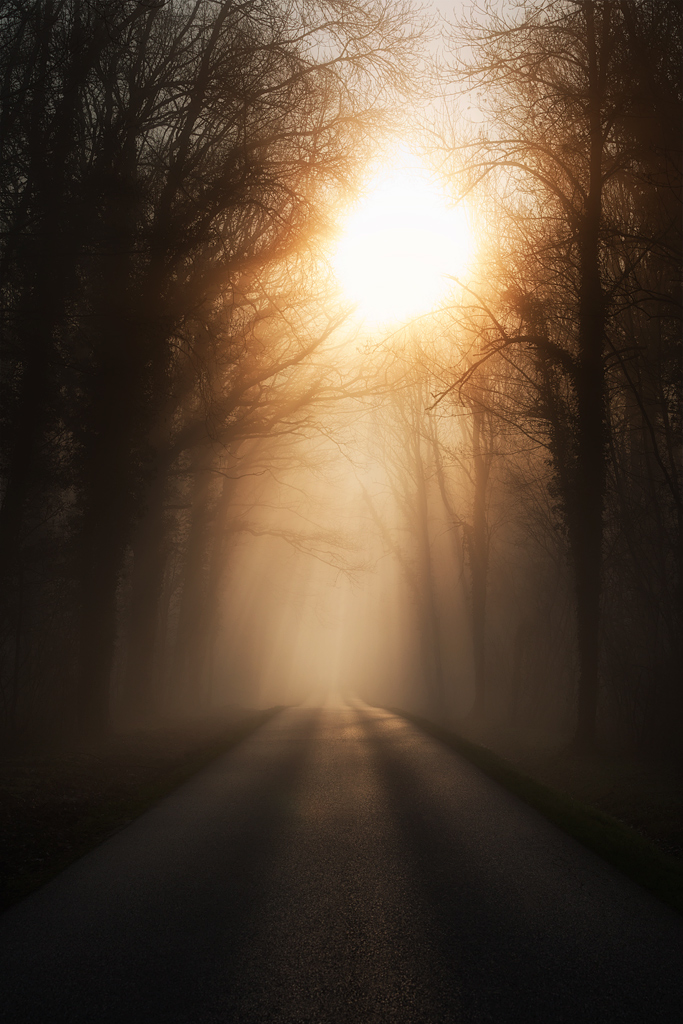 UN AUTRE LIEN PHOTOSHOP TRES INTERESSANT-5d3_1843_1024.jpg