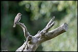 -1d-20110612-217.jpg
