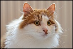 -1d-20101224-004.jpg