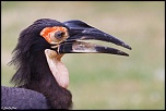 -1d-20120831-221.jpg