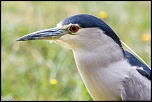 -1d-20120831-099.jpg