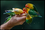 -1d-20120831-048.jpg