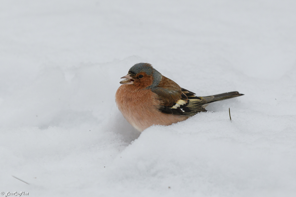 -1d-20130224-067.jpg