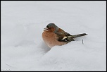 -1d-20130224-067.jpg