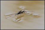 -1d-20130504-033.jpg