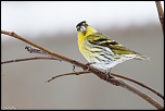 -1d-20130224-021.jpg