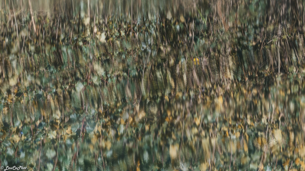 1D 20121005 009