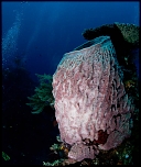 Filtres-5696.jpg