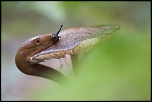 -montecot_06-10-2013-14-35-13_0118.jpg