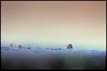 -montecot_19-01-2014-15-22-18_0209.jpg
