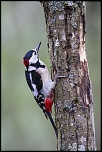 -seresville_02-04-2014-09-52-43_0388.jpg