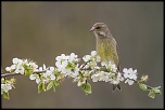 -ouerre_30-03-2014-15-21-18_0016.jpg