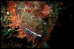 Filtres-5703.jpg