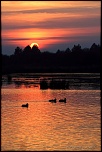 -le-crotoy-3.jpg