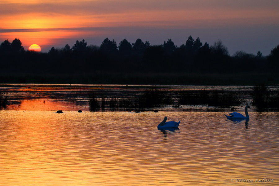 -le-crotoy-4.jpg
