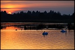 -le-crotoy-4.jpg