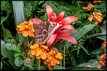 IMG 9617 2