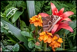 IMG 9617 3