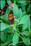 IMG 0537 DxO 2