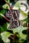 IMG 9657 2