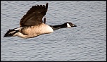 -_mg_5530-modifier.jpg