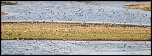 -_mg_5684.jpg