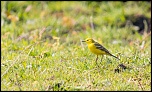 -_mg_6848.jpg