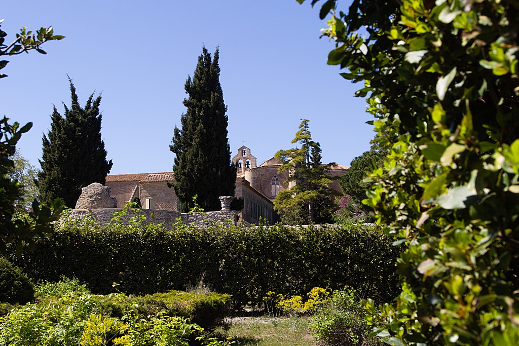 -eos011.jpg