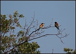 IMG 5639