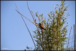 IMG 5679