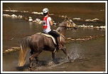 Endurance-65