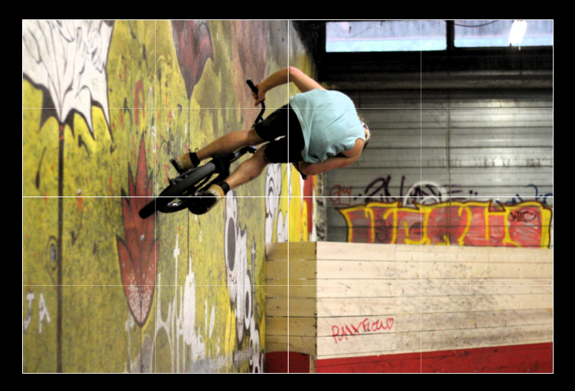 bmx-bifurk