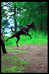 jumpingloo