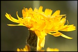 -img_8471-2.jpg