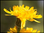 -img_8471-3.jpg