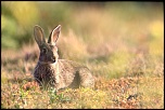 Album d'Henri.Quatre