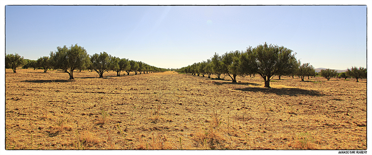 Salut-el-aioun-sidi-mellouk-lorientale-maroc.jpg