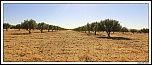 Salut-el-aioun-sidi-mellouk-lorientale-maroc.jpg