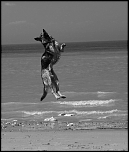 premires images