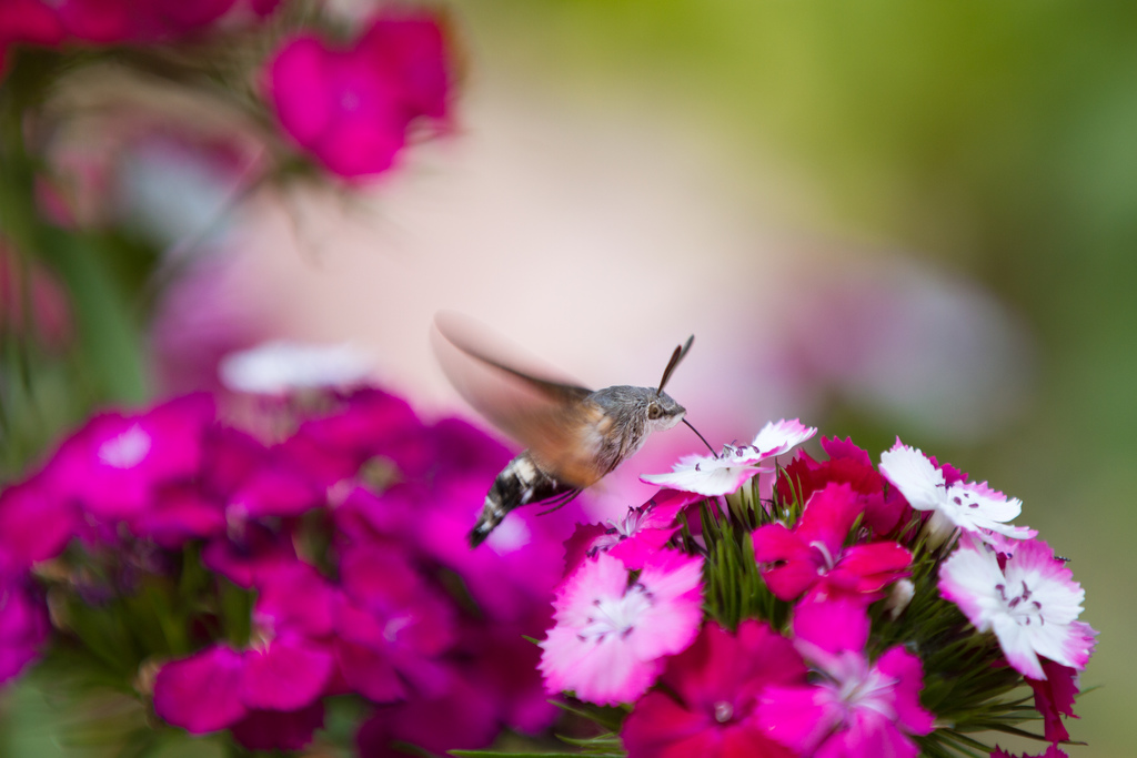 -2014_06_22_5754.jpg