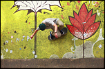 -skate14.png