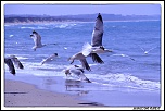 -img_9966.jpg